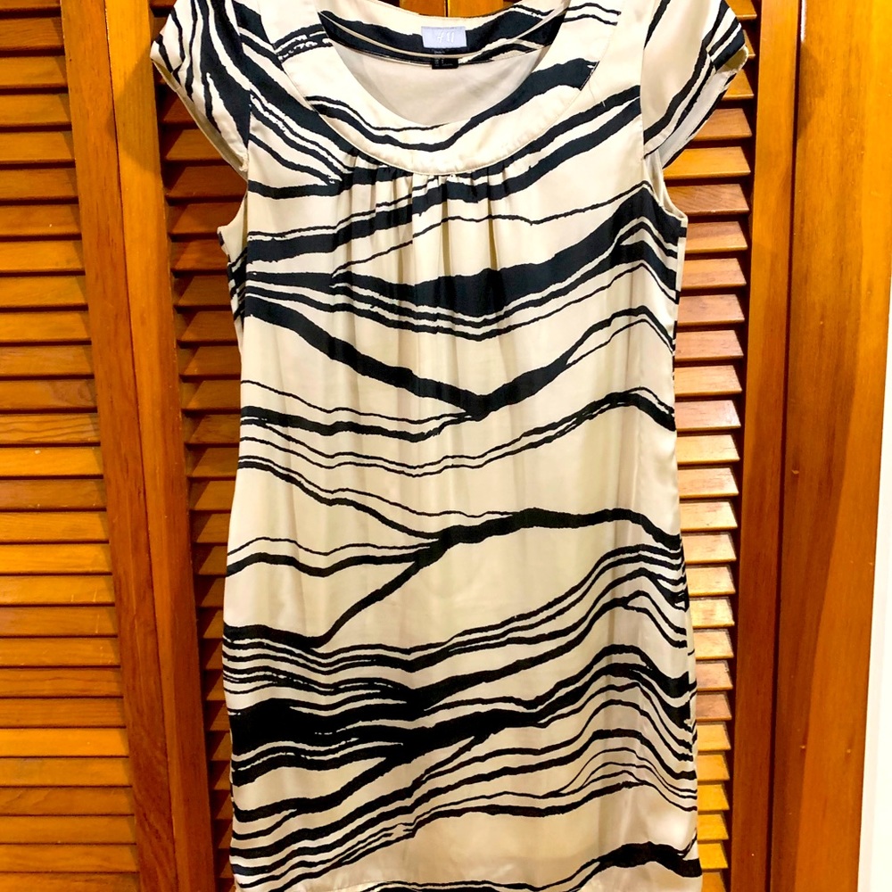 H&M 🦓 Dress